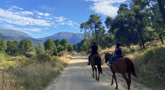 Hoyos del Collado La Casona De Collado旅馆 外观 照片